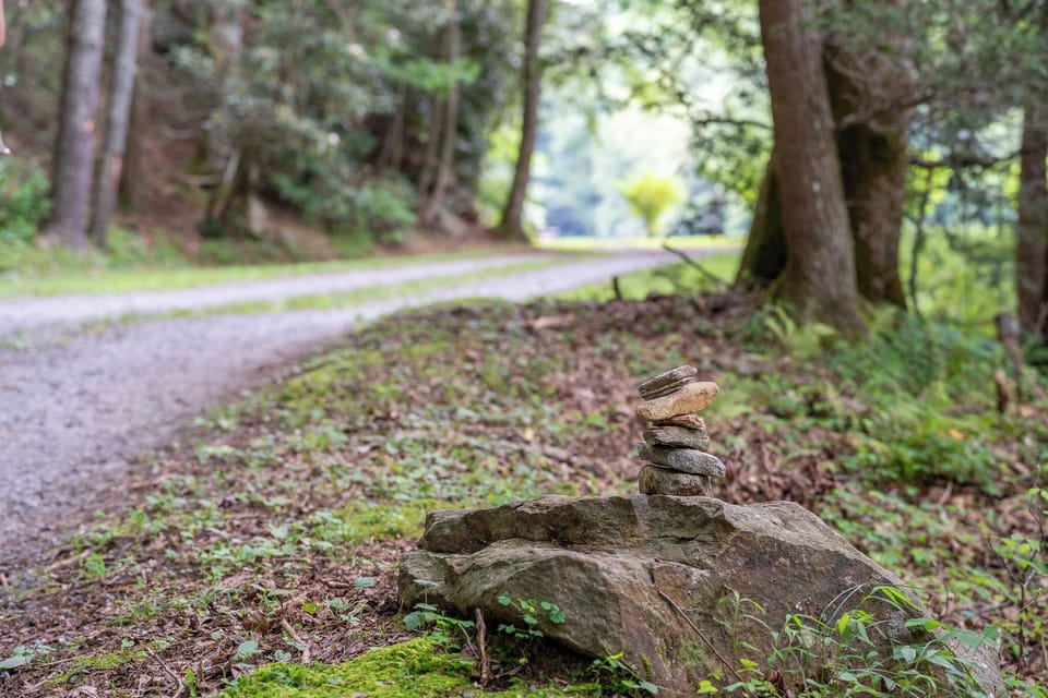 Driveway to the Lodge
