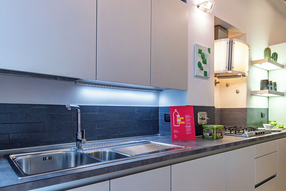 Apartment | Private kitchen | Fridge, microwave, oven, stovetop