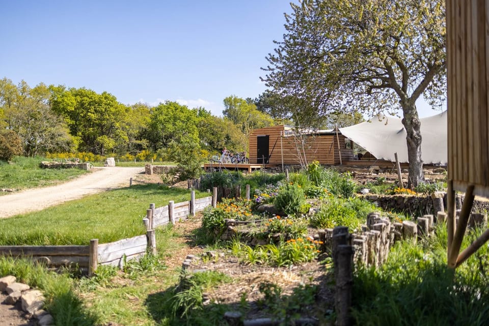Dihanévasion-permaculture-potager-bar