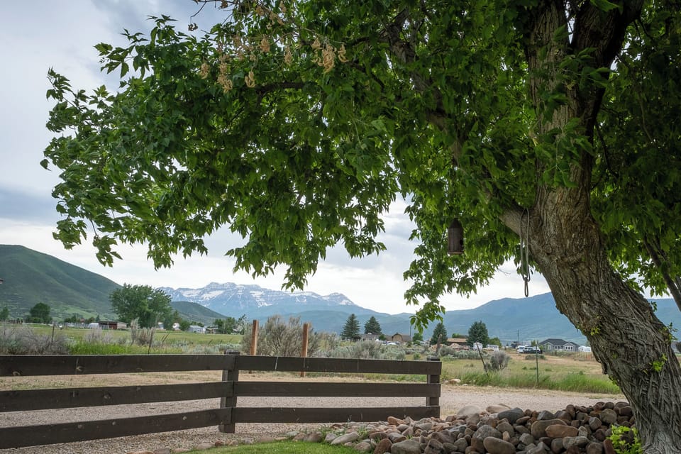 The views off the backyard just can't be beaten.