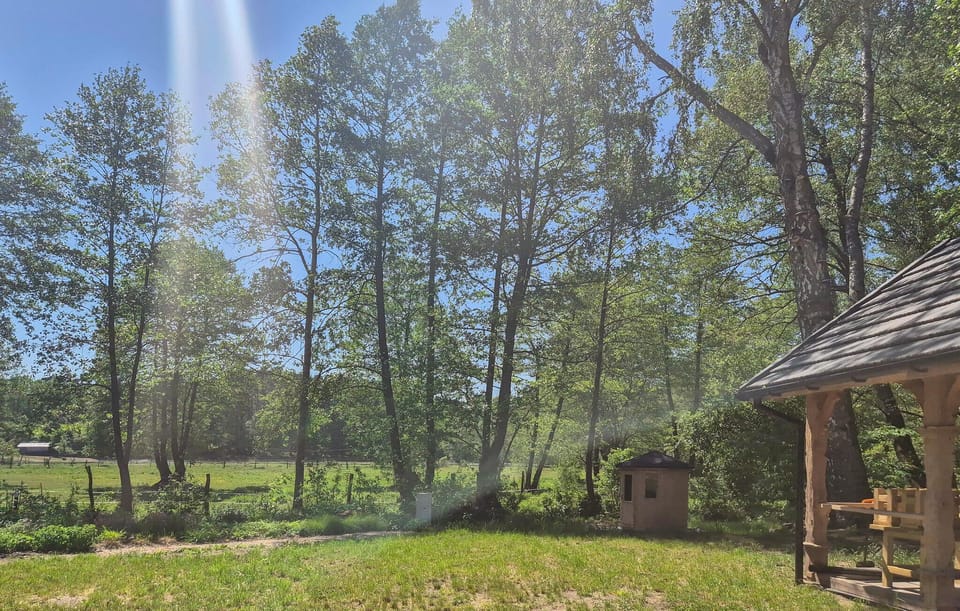 outside