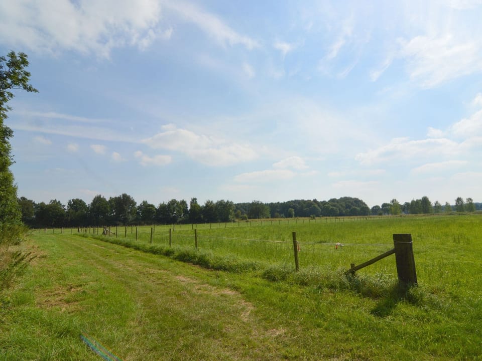 Surroundings [summer] (1-5 km)