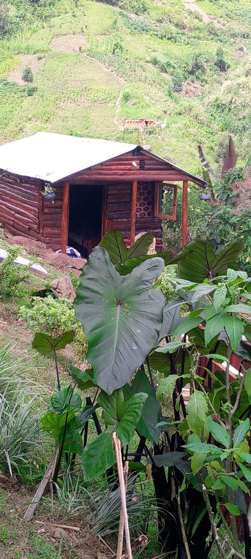 Comfort Cottage, Mountain View | 2 bedrooms, laptop workspace