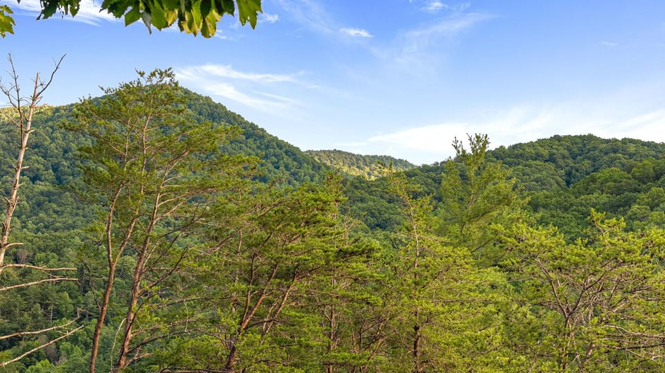 Enjoy the natural beauty of Cherry Log, GA, from the comfort of your covered porch, perfect for outdoor relaxation.