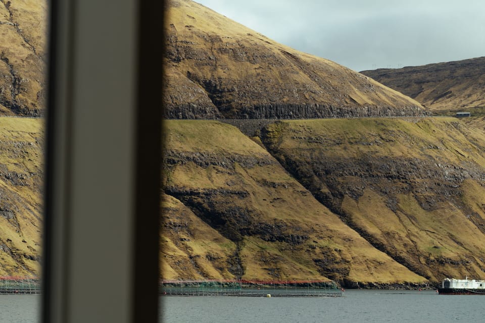 Panoramic Apartment | View from room