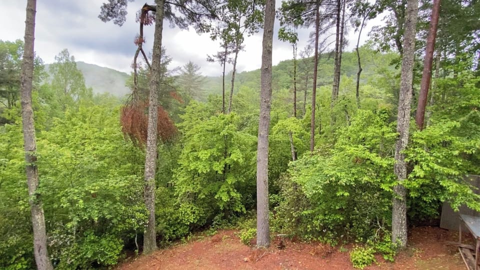The view from our porch and hot tub with sounds from nearby waterfalls.