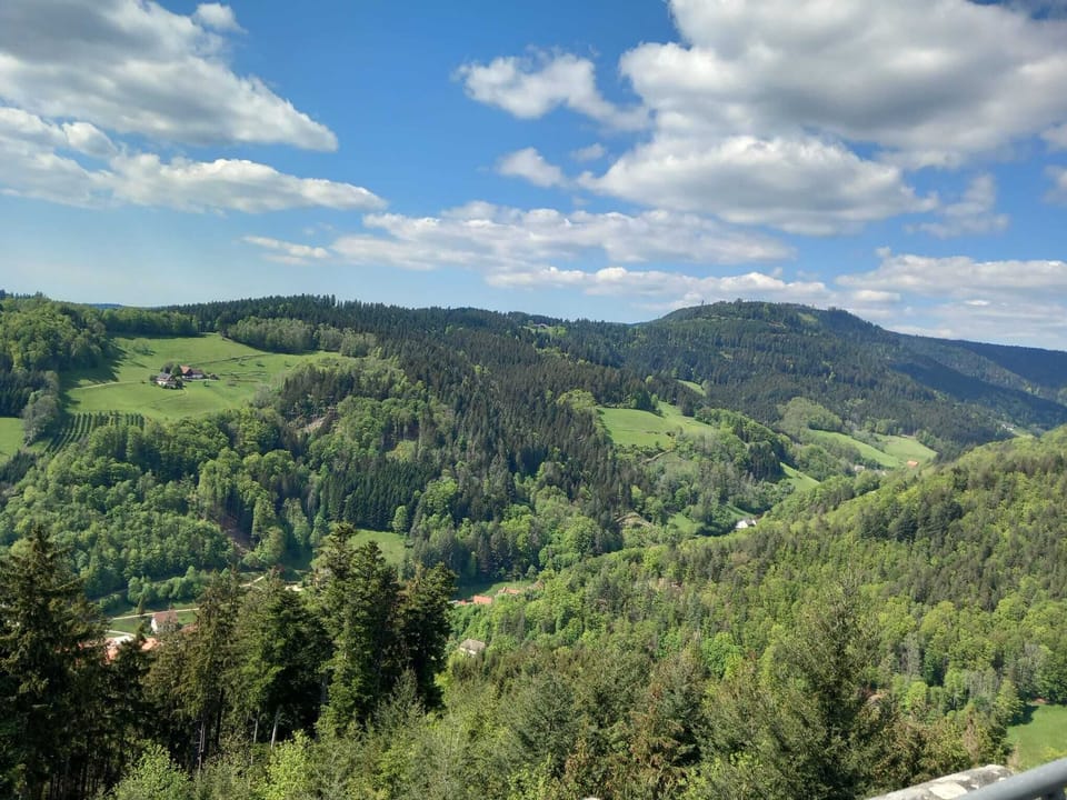 View from property