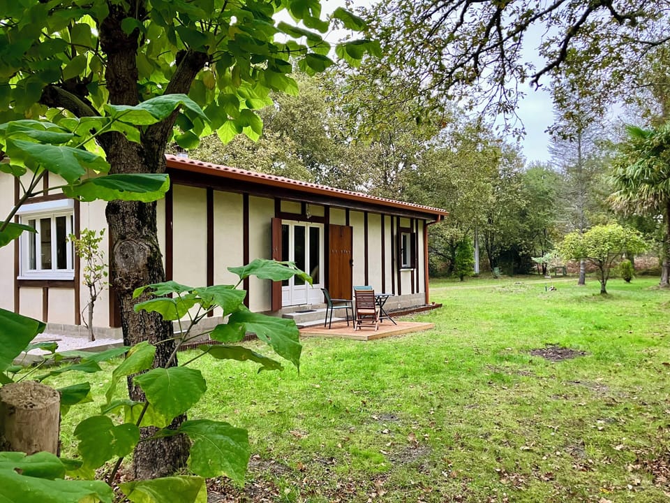 House and garden view