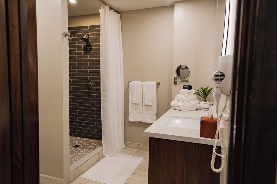 Deluxe Studio Suite, 2 Queen Beds, Pool View | Bathroom | Shower, hair dryer, bathrobes, towels