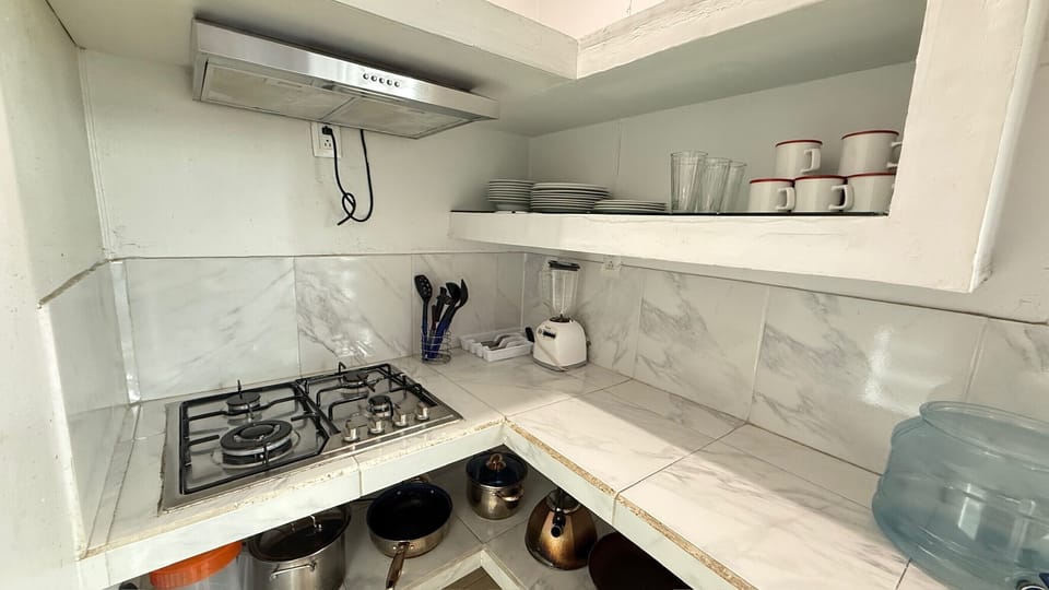 Fridge, microwave, dishwasher, blender