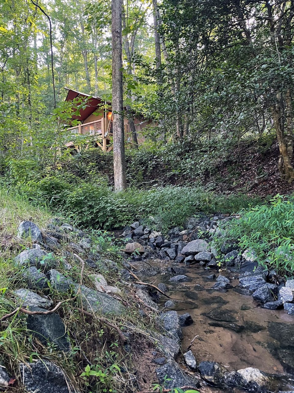 Creek View