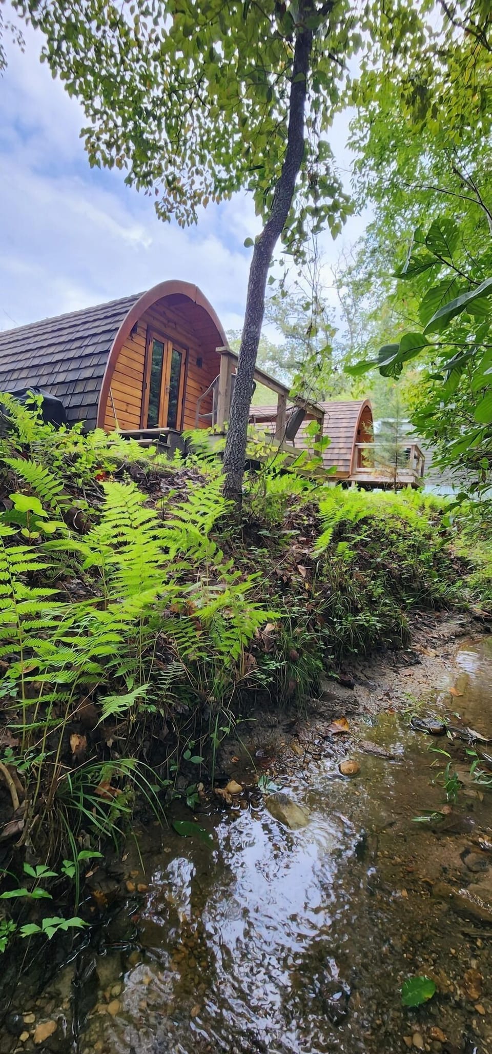 Creek View