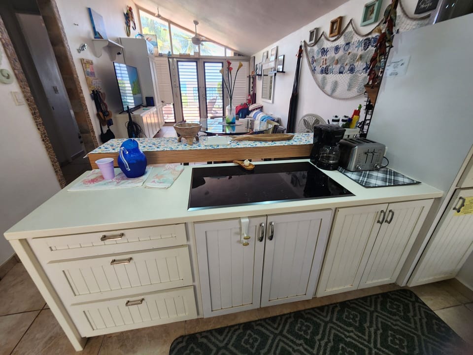 Induction Cooktop/ Pantry/ Utensils 
