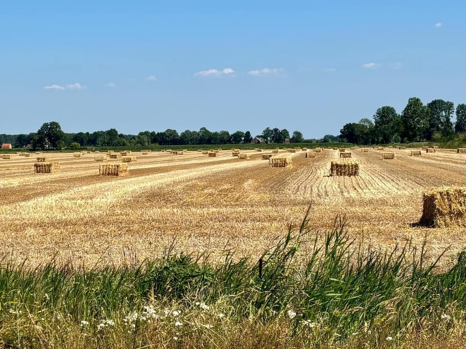 Surroundings [summer] (1-5 km)