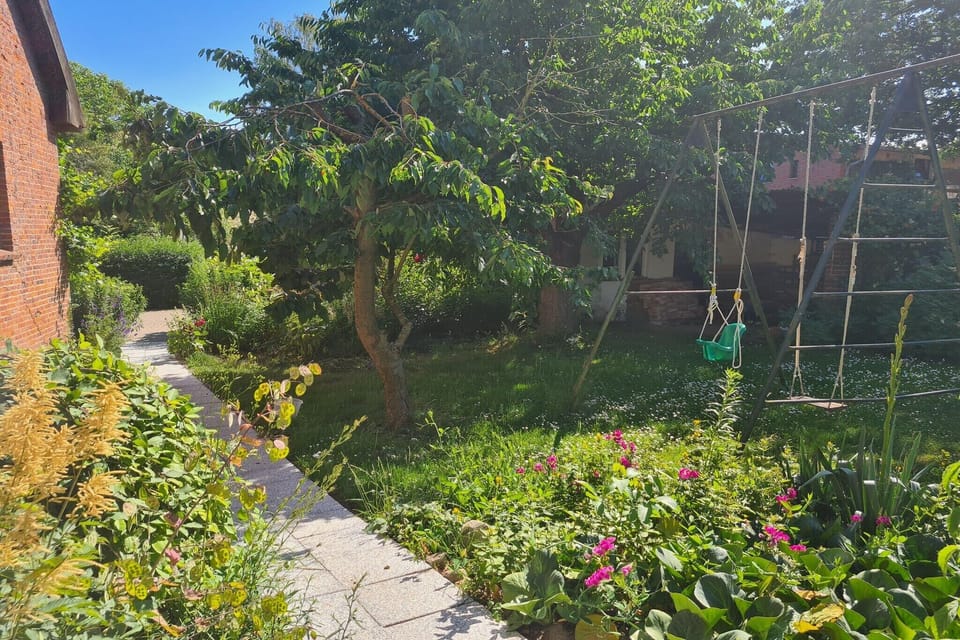 Garden [summer]