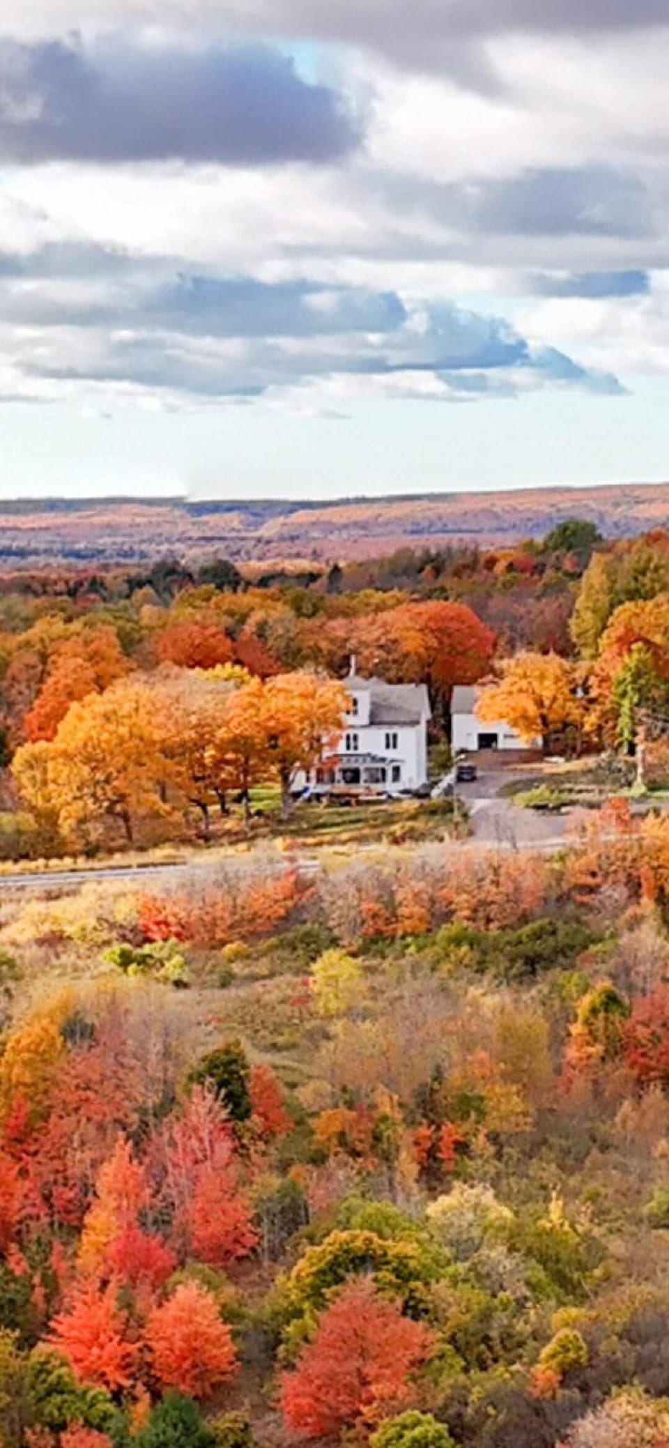 Fall Colors around Quincy House 2024