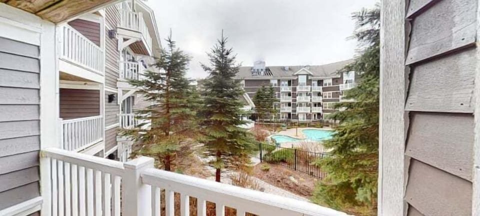 City, Tree, Balcony, Urban, High Rise