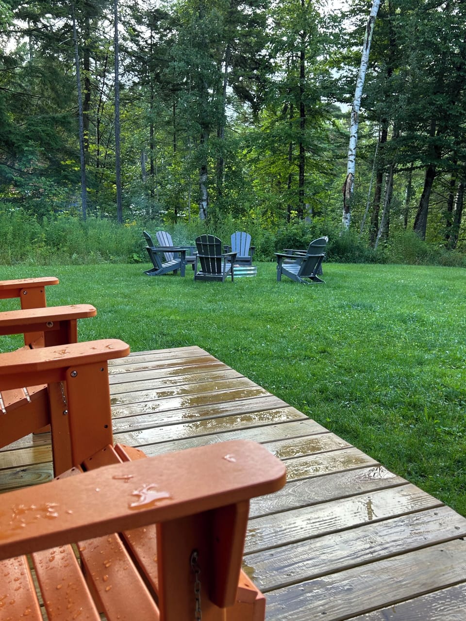 After the rain