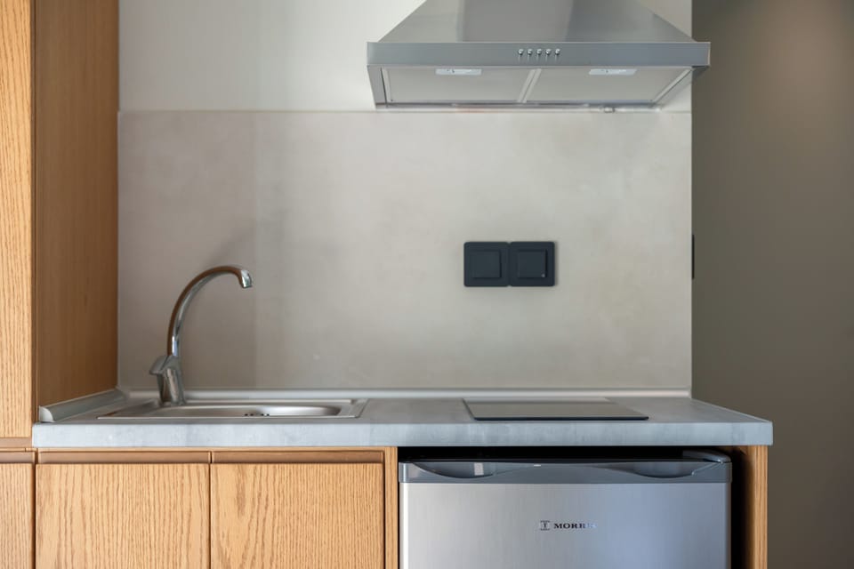 Junior Room, 1 Queen Bed with Sofa bed, Balcony | Private kitchen | Fridge, stovetop, espresso maker, electric kettle