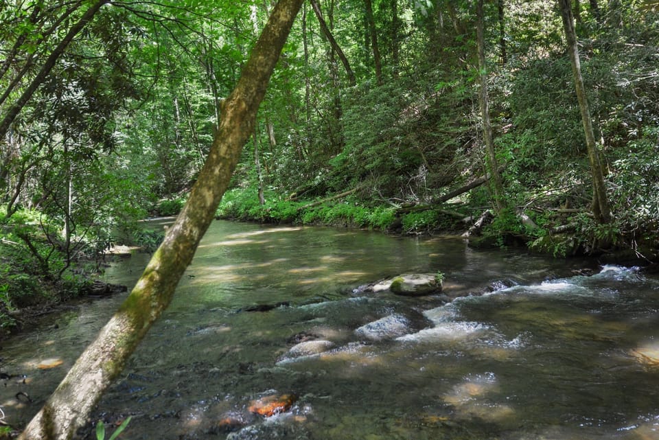 Enjoy the creek located in the back yard