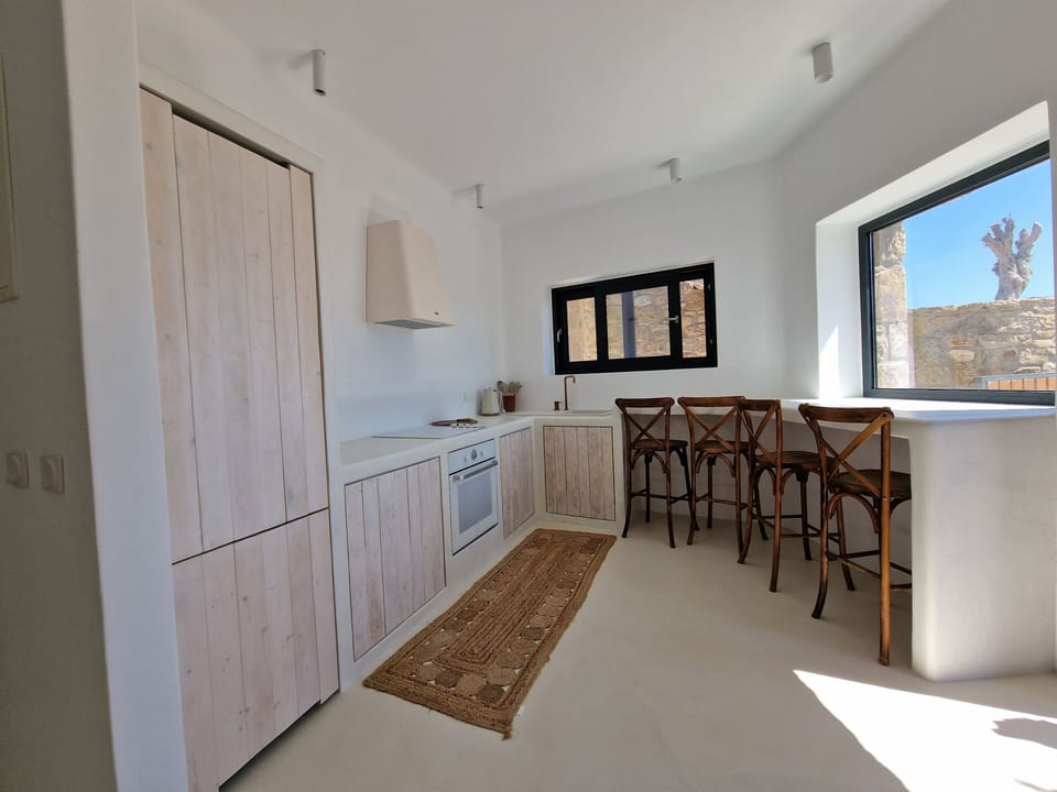 Design Apartment | Private kitchen | Full-size fridge, oven, cookware/dishes/utensils, cleaning supplies