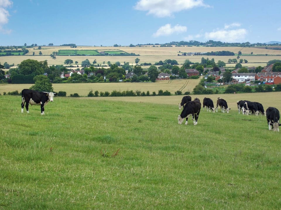 Surrounding area | The Granary - Donative Holiday Cottages, Warton, near Tamworth
