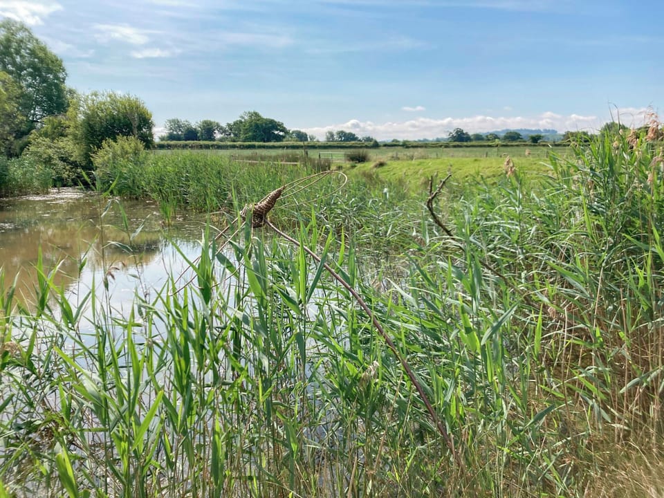 Surrounding area | Willow Lodge, Boys Hill, near Sherborne