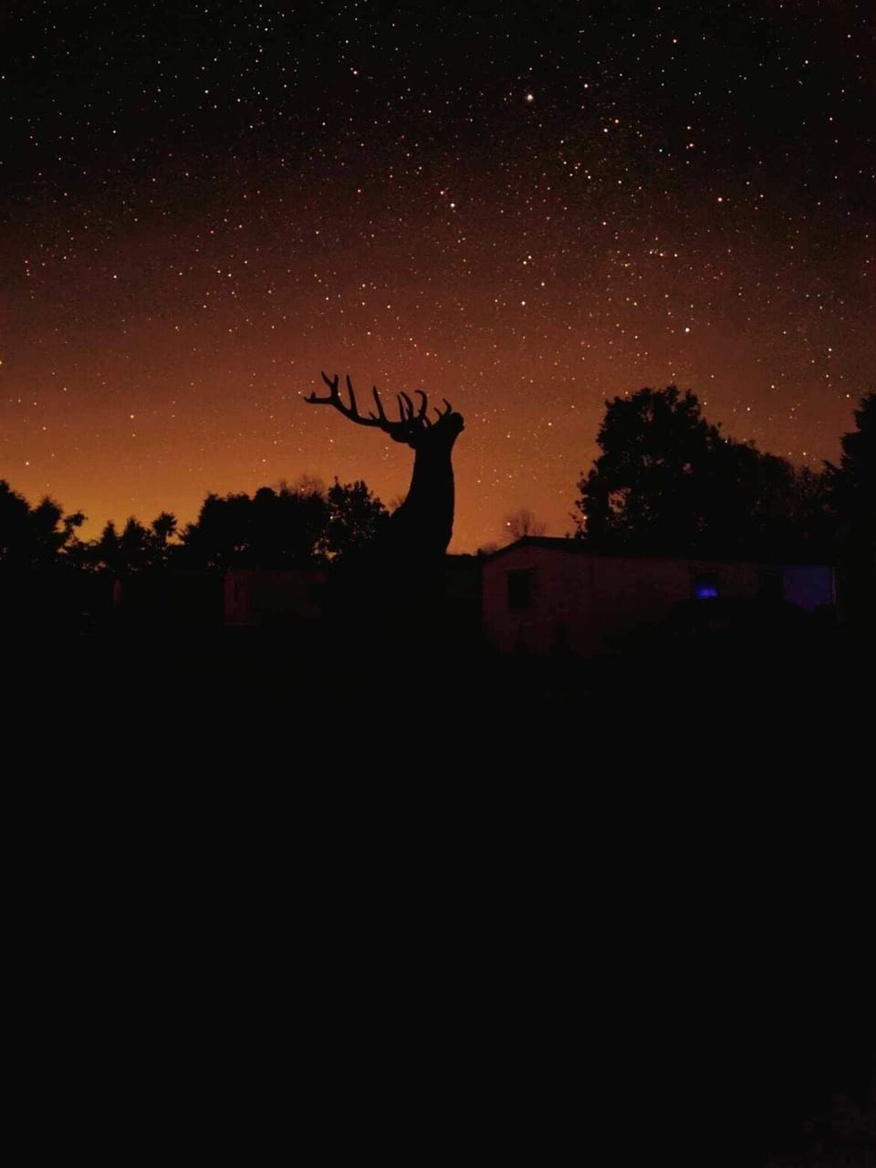 Cabin | Miscellaneous