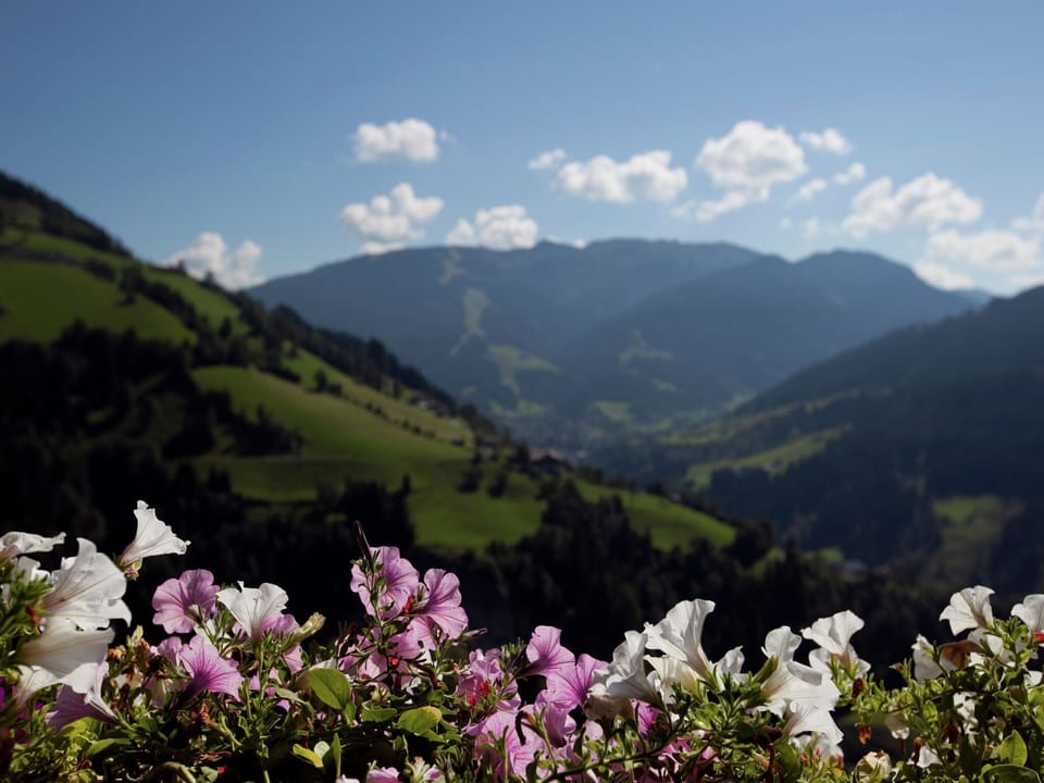 View from Holiday Home [summer]
