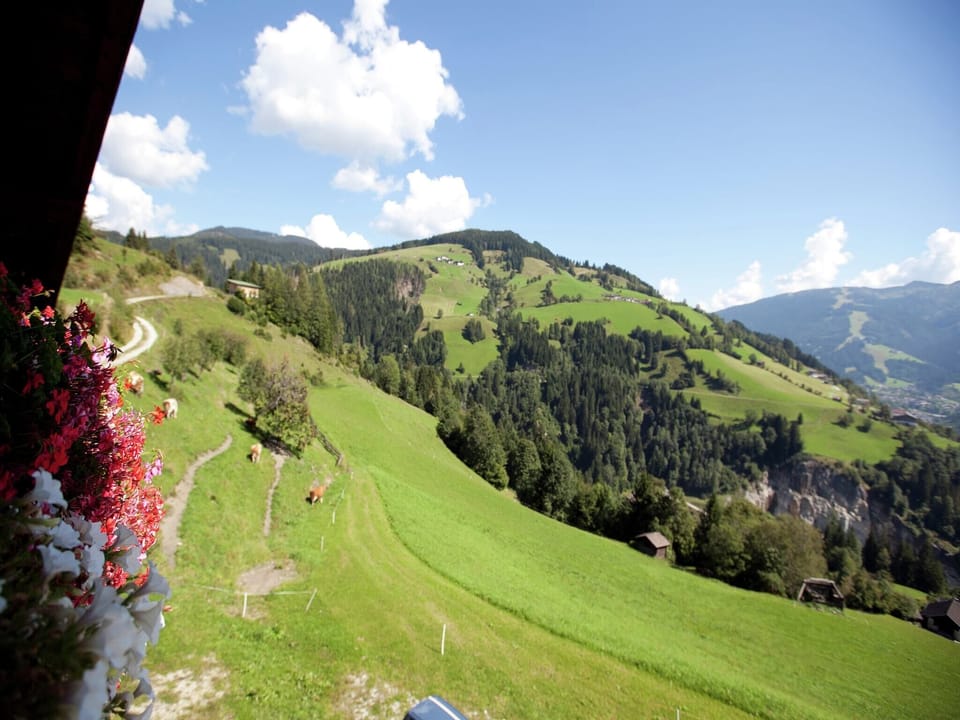 View from Holiday Home [summer]
