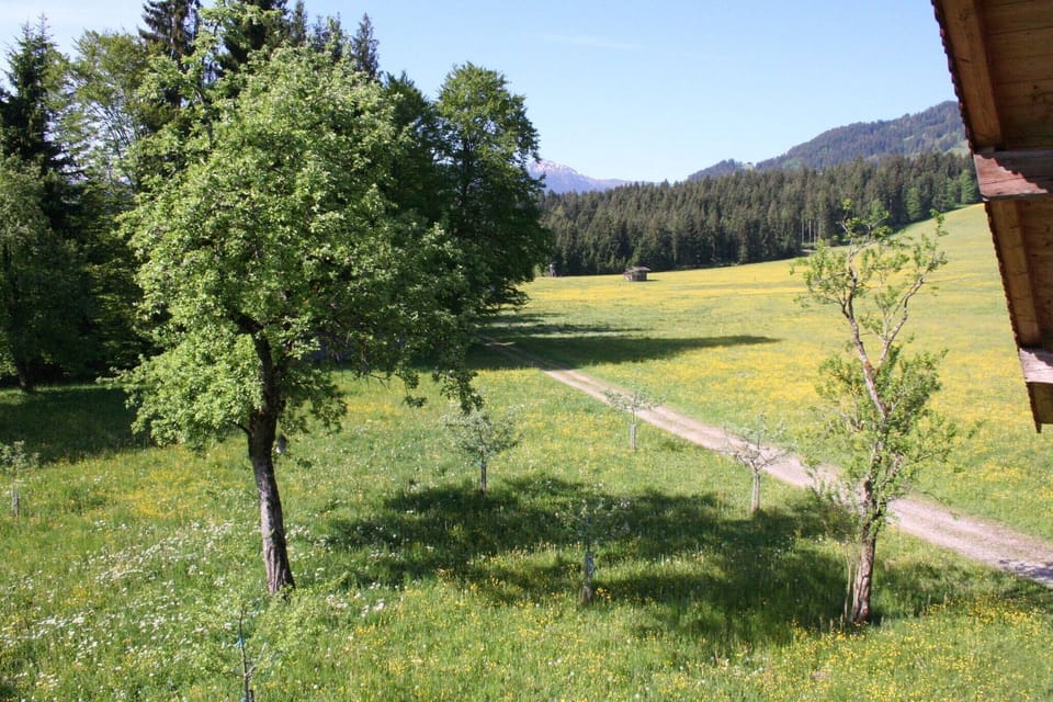 View from Holiday Home [summer]