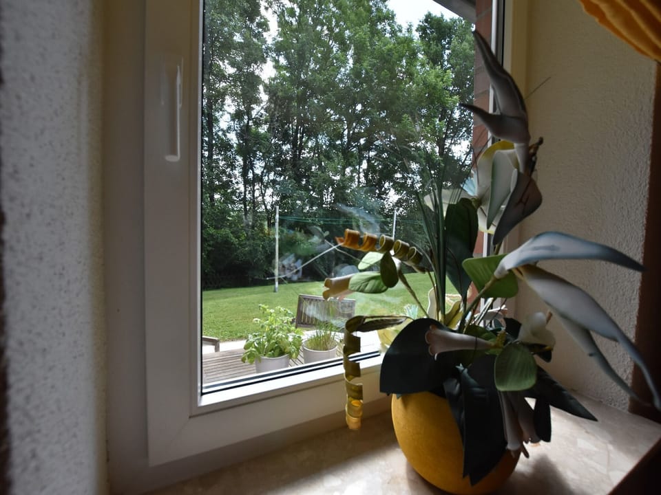 Ambiance / Close-up