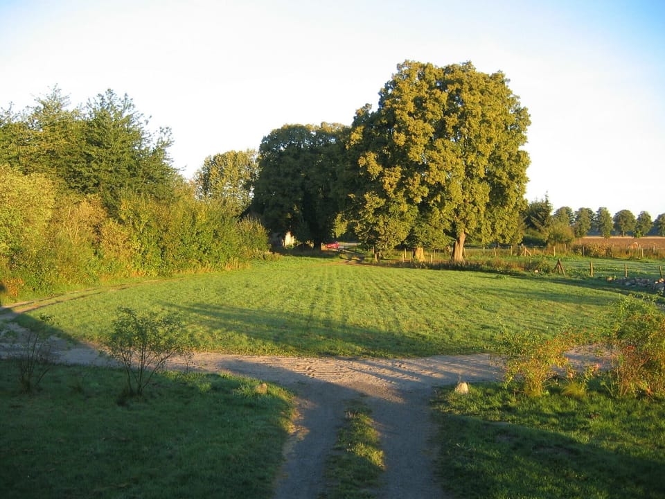View from Holiday Home [summer]