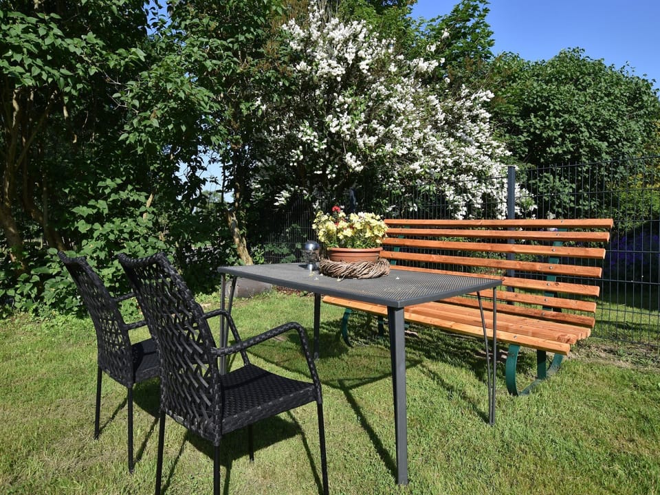 Garden [summer]