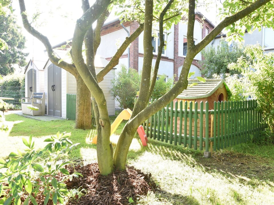 Garden [summer]