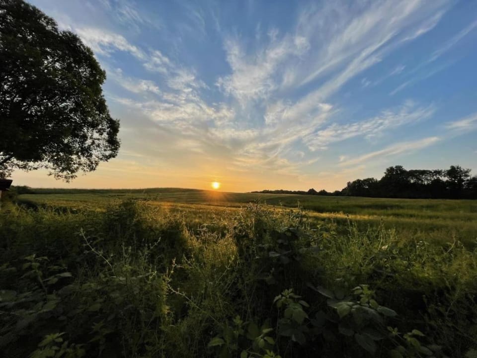 Region [summer] (>5 km)