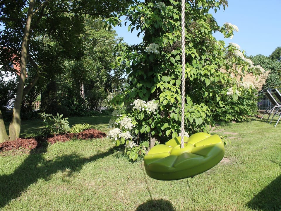 Garden [summer]