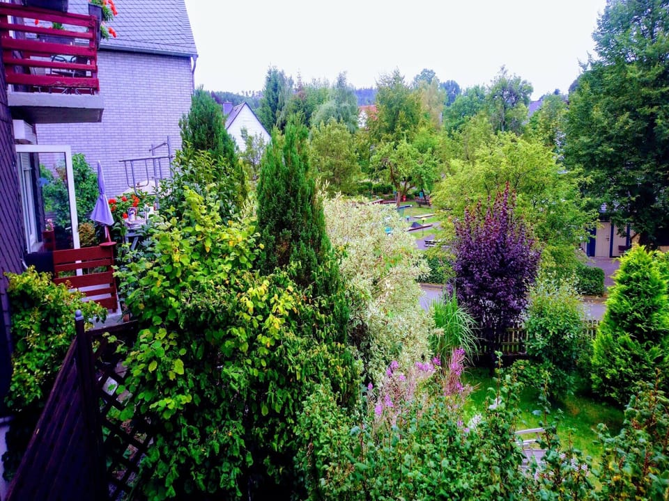 View from Holiday Home [summer]