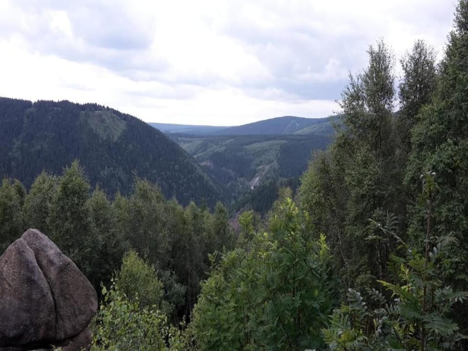 Region [summer] (>5 km)