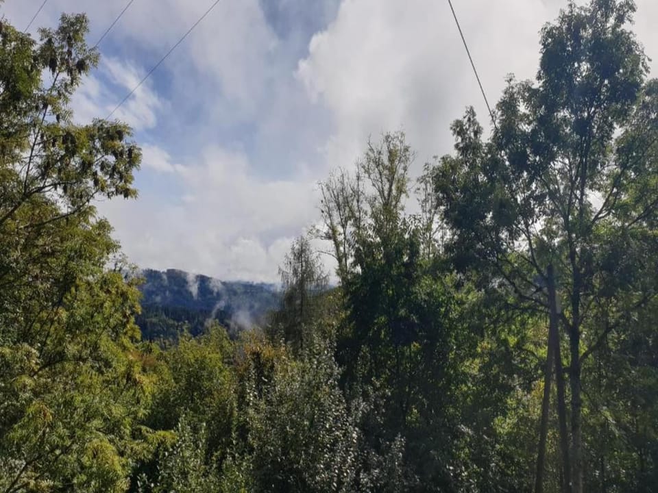 Region [summer] (>5 km)