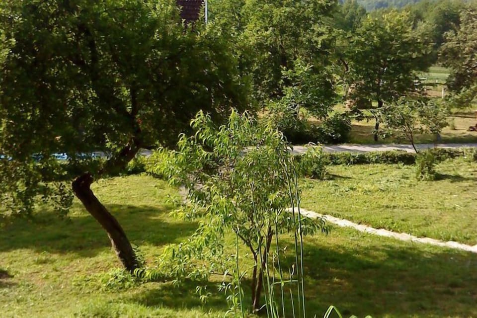 View from Holiday Home [summer]