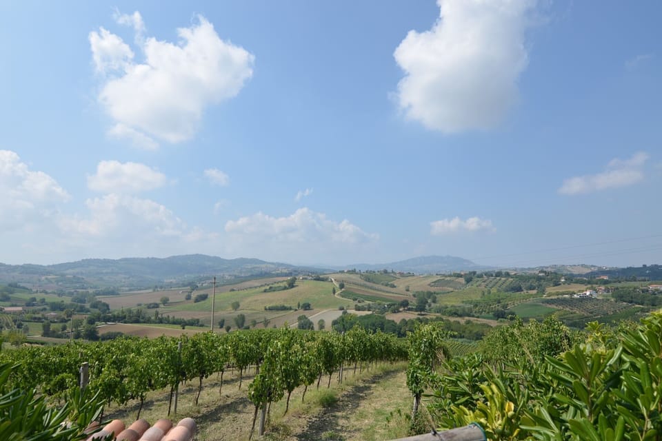 View from Holiday Home [summer]