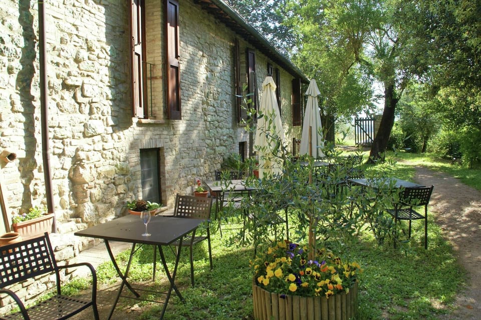 Garden [summer]