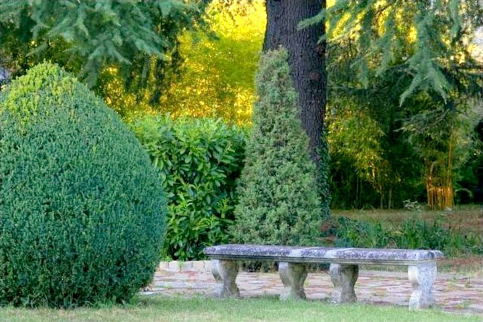 Garden [summer]