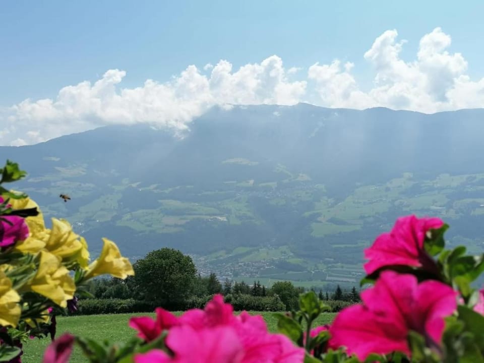 Region [summer] (>5 km)