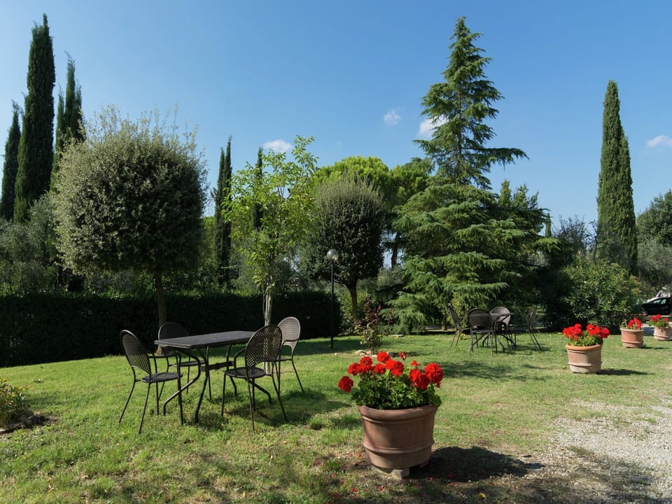 Garden [summer]