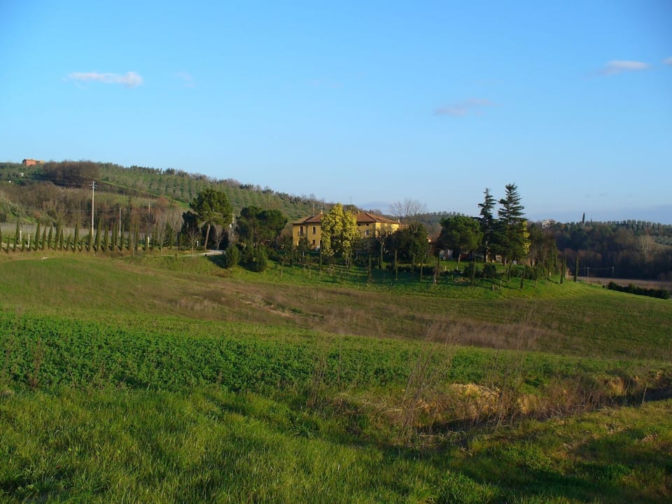 Immediate Surroundings [summer] (<1 km)