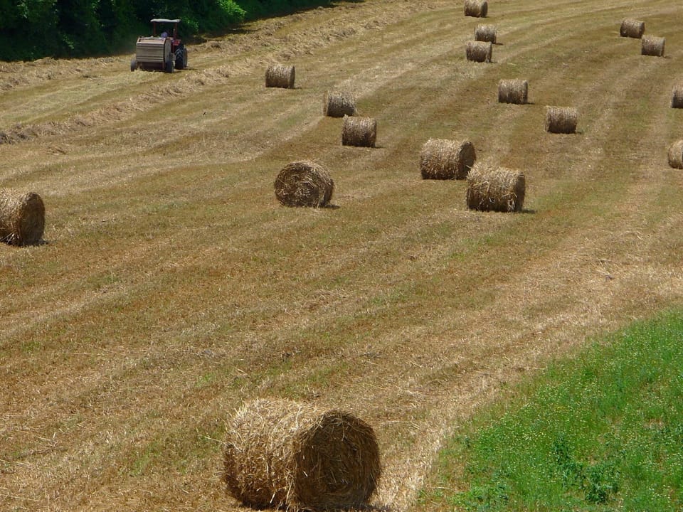 Immediate Surroundings [summer] (<1 km)