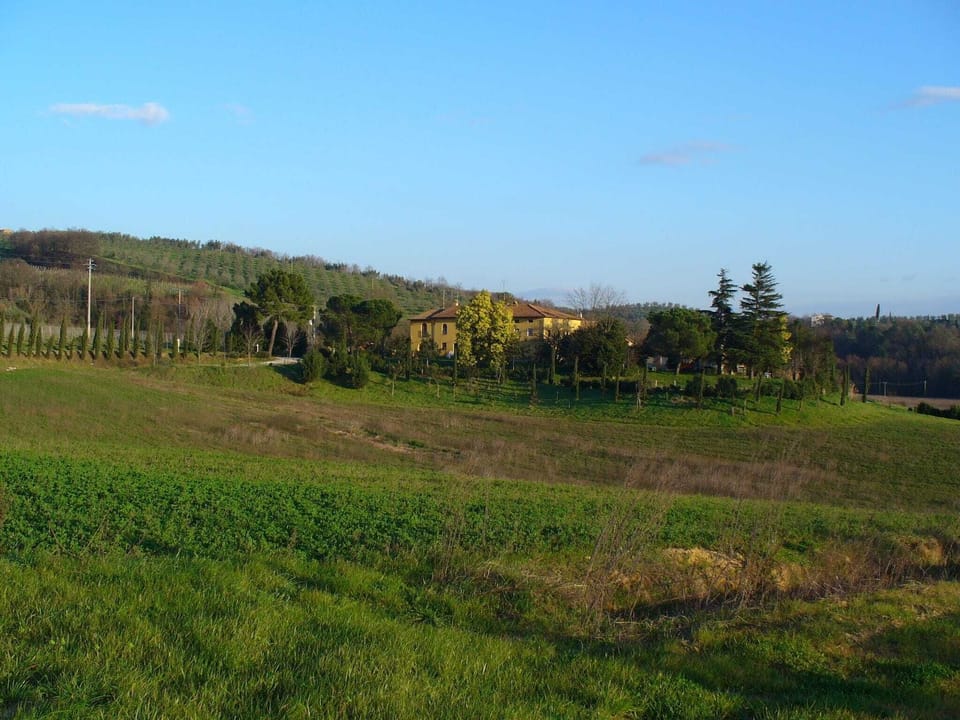 Immediate Surroundings [summer] (<1 km)