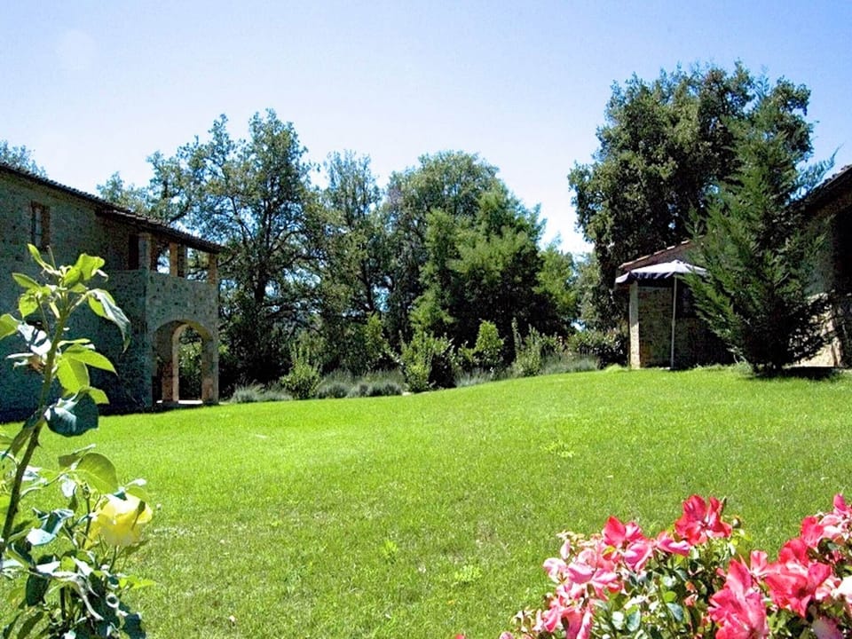 Garden [summer]